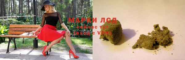 ПСИЛОЦИБИНОВЫЕ ГРИБЫ Магас