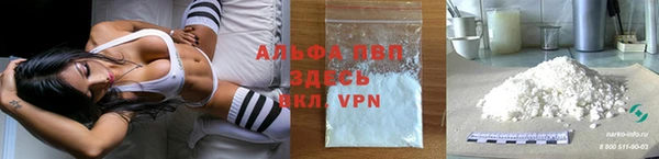 ПСИЛОЦИБИНОВЫЕ ГРИБЫ Магас