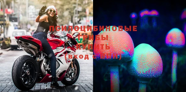 СК Майский