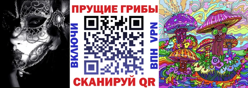 Галлюциногенные грибы Cubensis Новомичуринск