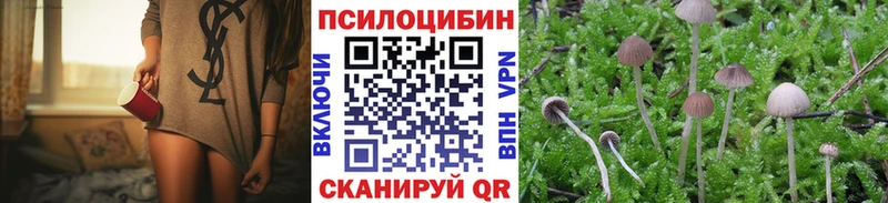 МЕГА вход как найти закладки Новомичуринск Галлюциногенные грибы Magic Shrooms